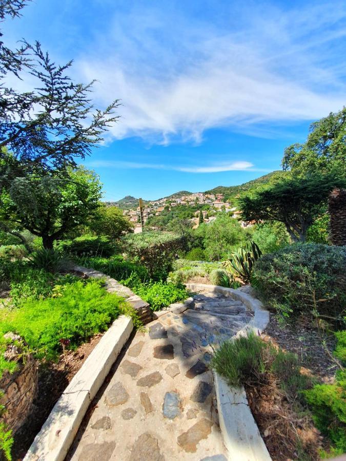 Appartements Dans Villa En Rez De Jardin Hyères Exteriör bild