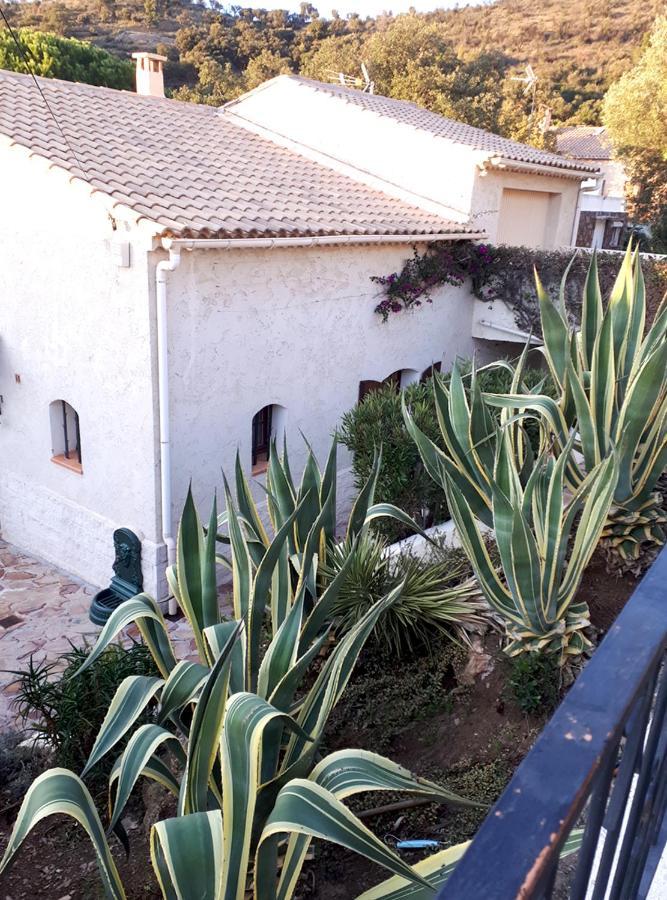 Appartements Dans Villa En Rez De Jardin Hyères Exteriör bild