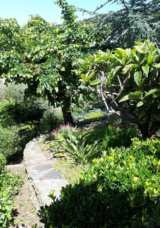 Appartements Dans Villa En Rez De Jardin Hyères Exteriör bild